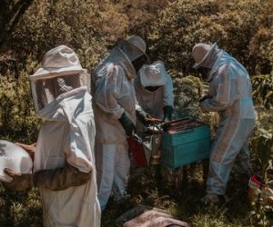 pexels-arthur-brognoli-2260931 (1)