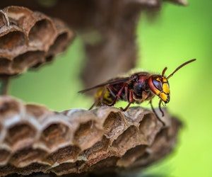 pexels-david-hablützel-928973