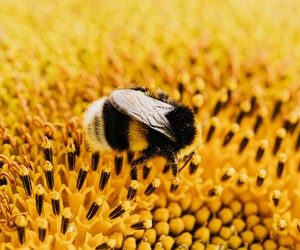 pexels-karolina-grabowska-5478144